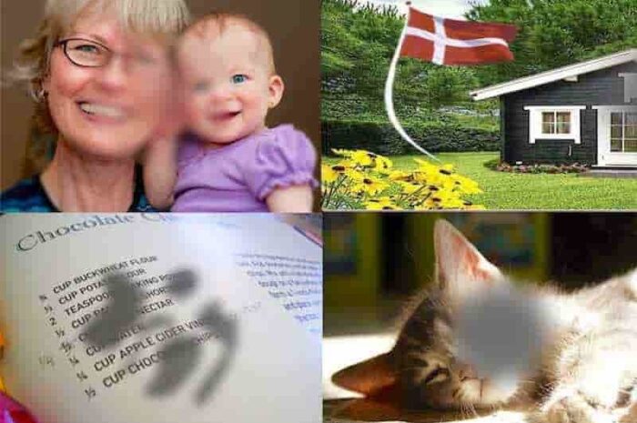 AMD øjensygdom